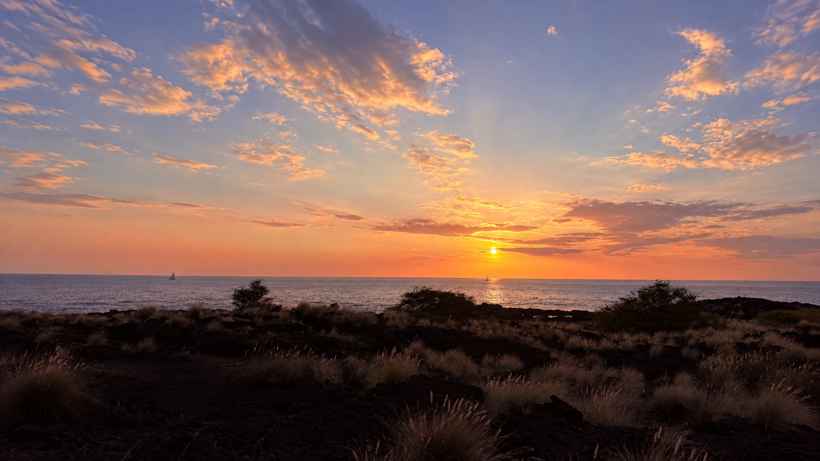 The setting sun over the ocean and coastal grasses in Kona.
