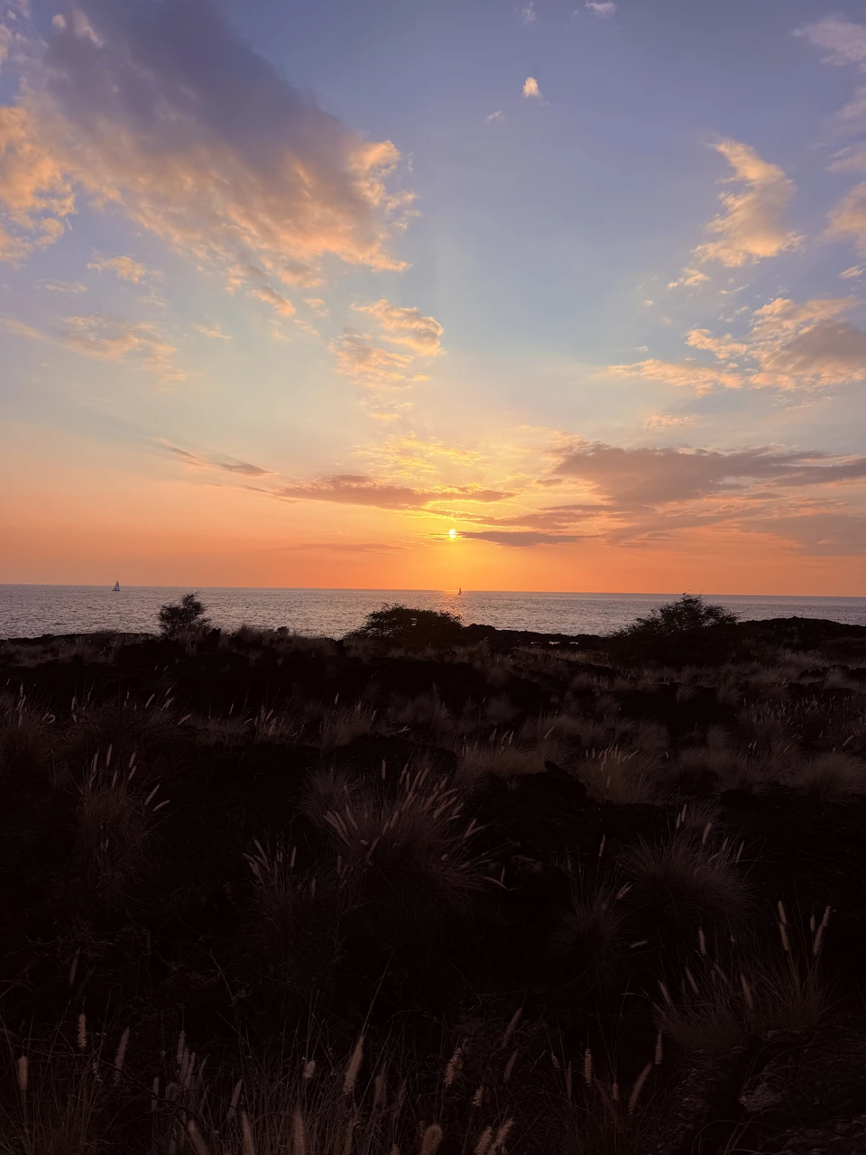 Gabriel’s photograph of sunset in Kona: amber clouds above the ocean and dark coastal grasses.