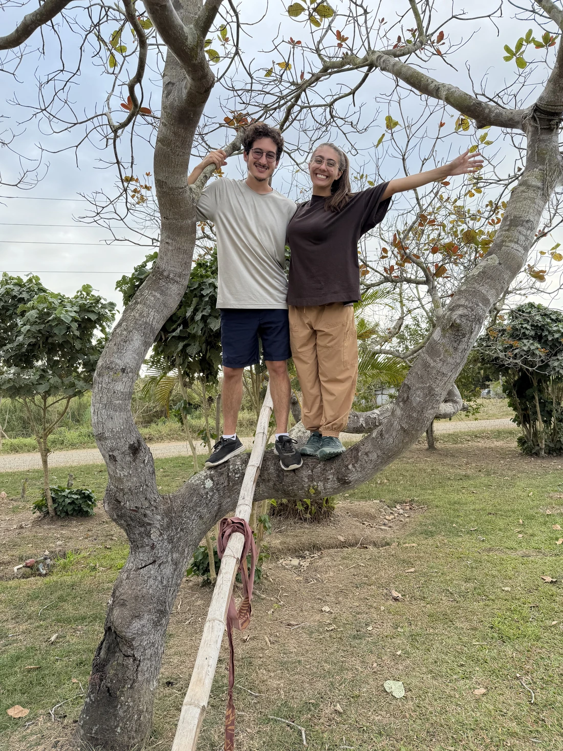 Gabriel and Rebecca smiling together while standing on a tree branch, Rebecca extending her hand.
